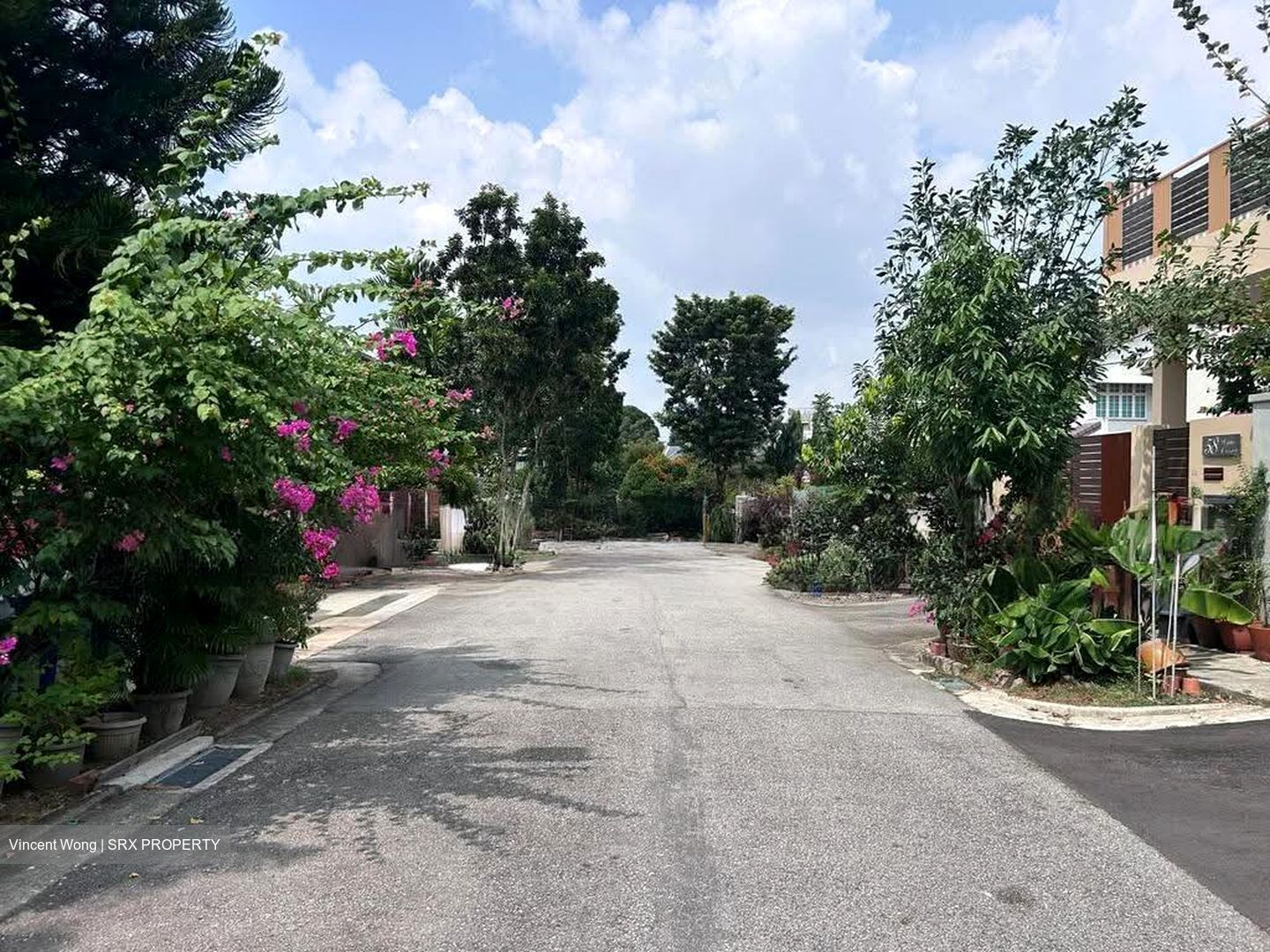 Serangoon Garden Estate (D19), Semi-Detached #618915751